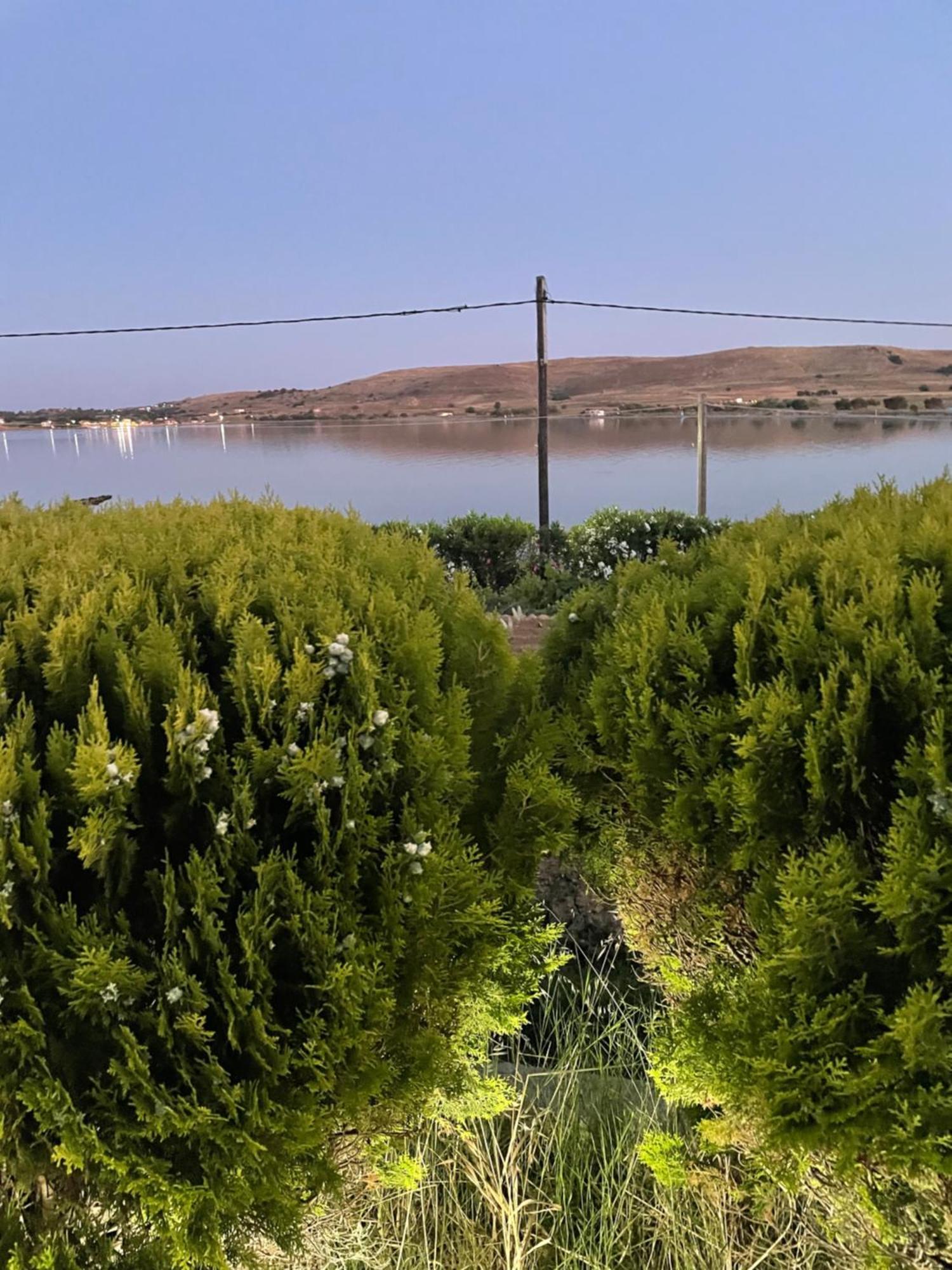 Villa Lagosta Város Dış mekan fotoğraf